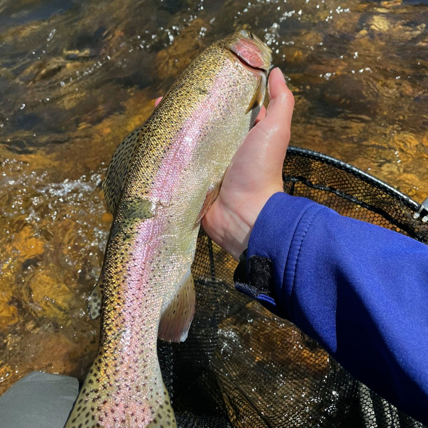 Fly Fishing: Senior Membership Pools & Rivers Only - Clay Pigeon Adventures