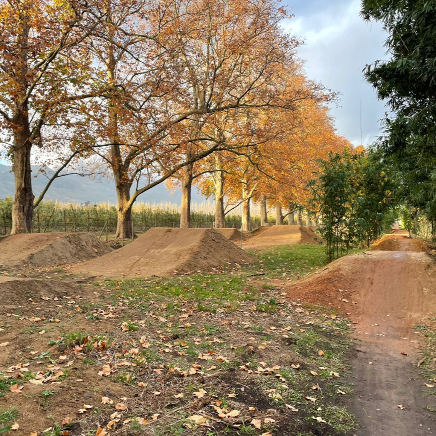 Gooseloop & Skills Park - Kids (Time slot) - Clay Pigeon Adventures