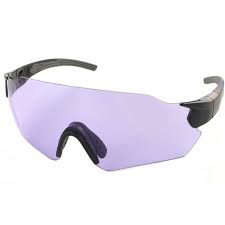 Evolution Connect Purple Eye Protection