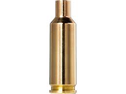 Shooting activity at Clay Pigeon Adventures