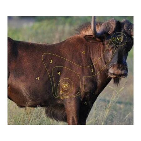 Shooting activity at Clay Pigeon Adventures